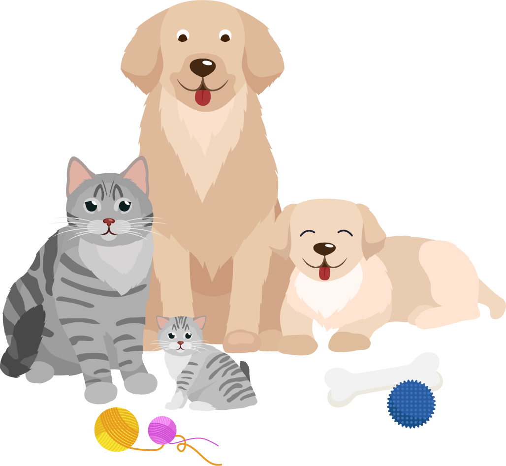 Dog 